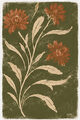 Image Not Available